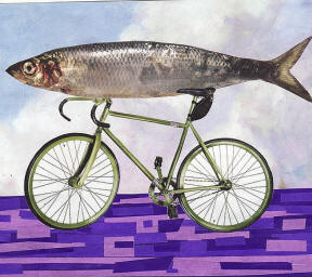 Fish sitting on bicycle. Like A Fish Needs A Bicycle